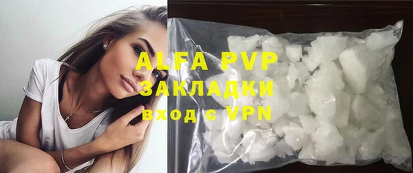 ECSTASY Алзамай