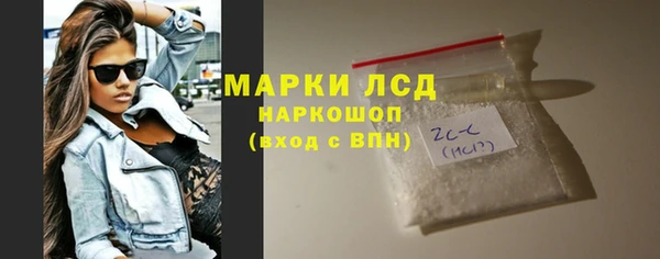 ECSTASY Алзамай
