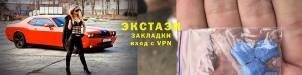 ECSTASY Алзамай