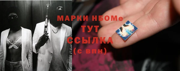 шишки Каменка